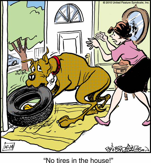 marmaduke